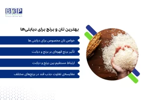 "بسیاری از افراد مبتلا به دیابت در رژیم غذایی خود با این سؤال روبرو هستند که آیا می‌توانند نان و برنج مصرف کنند. پاسخ کوتاه این است که بله، اما با انتخاب‌های هوشمندانه و کنترل‌شده. نوع نان و برنج، مقدار مصرف و نحوه‌ی ترکیب آن‌ها با سایر مواد غذایی در کنترل قند خون بسیار مهم است."