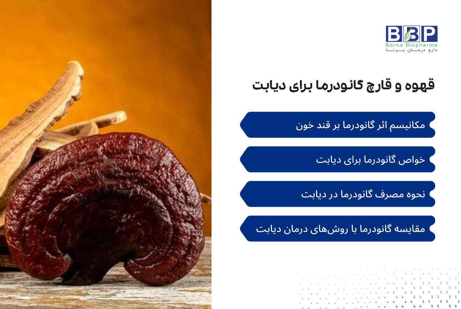 دیابت به‌عنوان یک بیماری مزمن و چندوجهی، تأثیر عمیقی بر سلامت عمومی و کیفیت زندگی بیماران دارد. در این راستا، قارچ گانودرما به‌عنوان یک گزینه طبیعی و پژوهش‌محور برای مدیریت دیابت مطرح شده است. این قارچ با ترکیبات فعال زیستی خود می‌تواند به تنظیم قند خون، تقویت سیستم ایمنی و کاهش التهاب کمک کند.